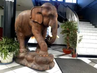 Appart Hotel - ห้องครัว