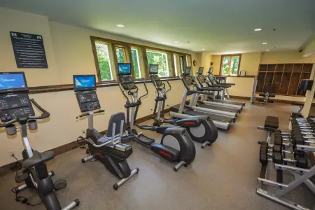 Dog Friendly Chalet in the Woods w/ Pool, Mt. Snow, VT