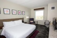 Hilton Garden Inn Tampa Suncoast Parkway Hotels in Odessa