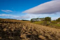 Brown Rigg Guest Rooms