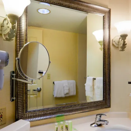Holiday Inn CHANTILLY-DULLES EXPO (ARPT) by IHG