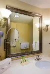 Holiday Inn CHANTILLY-DULLES EXPO (ARPT) by IHG - Pet friendly