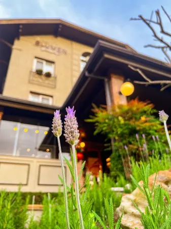 Blumen Hotel Boutique Отели рядом с Canela Airport