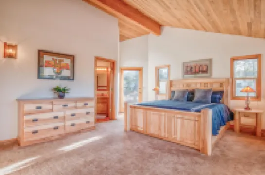 Paper Birch - Unit 10