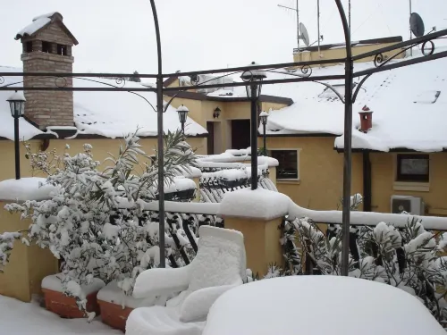 로칸다 모딜리아니