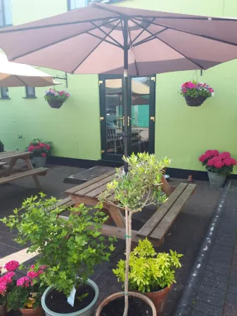 Olive Tree Guest House