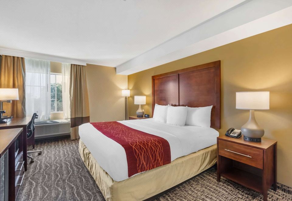 4. 컴포트 인 몬터..