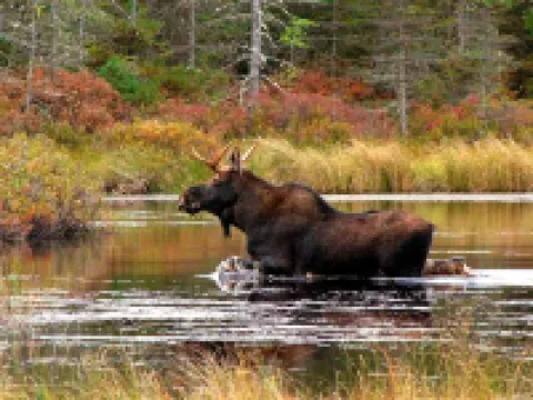 託斯比的六人度假屋 圖什比酒店