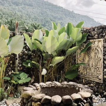 Sahom Valley Resort - Agro & Eco