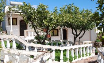 Quiet Place with Efflorescent Garden