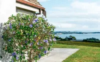 Mudbrick Cottages