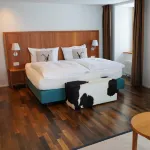 Hotel Pilatus-Kulm Hotels in Hergiswil