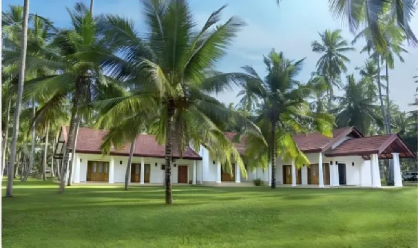 Coco Villa Peach Tree