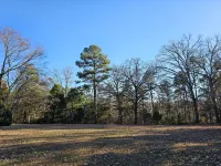 Private Oasis with Fire Pit and Jetted Tub - Charming Cozy Cabin Hotels in Township 1