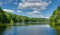 Cozy Studio with Free Parking and Modern Amenities - Inviting Getaway Hotels in Wallkill