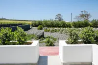 Vino Houses