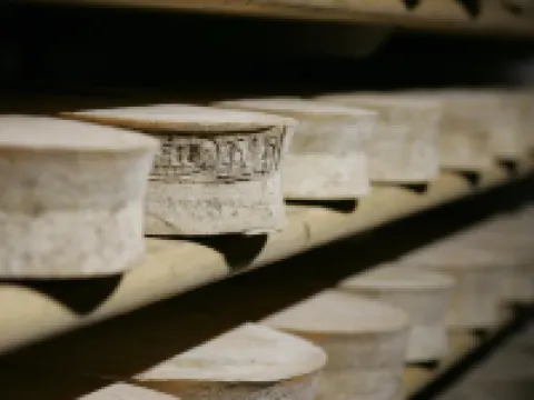 アグリツーリズモ リニ ボルミオのホテル