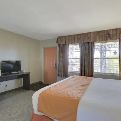 Econo Lodge St Petersburg Central Hotels near Macy's  (Tyrone Square)