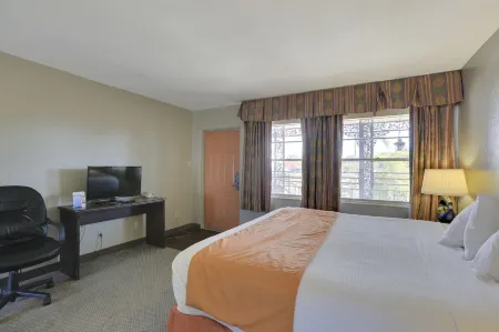 Budget Inn - St. Petersburg