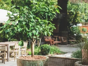 Boutique Hotel Soclo