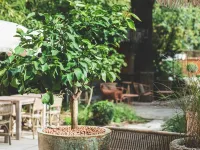 Boutique Hotel Soclo Hotels near Capitole