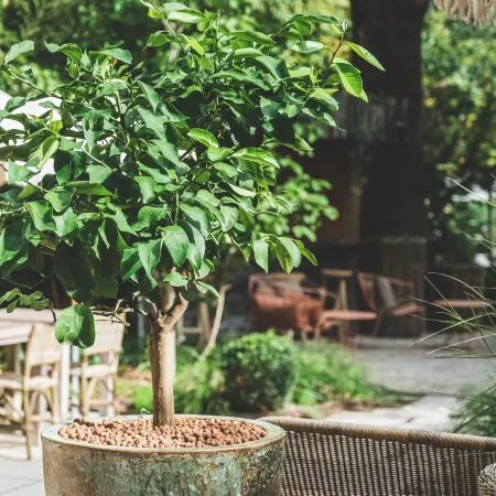 Boutique Hotel Soclo