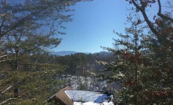 ER17 - the Perfect Getaway - Great Location - Close to Town! Cabin