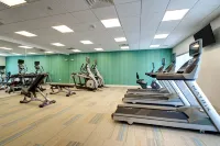 Holiday Inn Express & Suites LOCKPORT by IHG - Gym