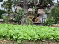 Amarit Onsen Homestay Hotels near Thom