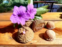 Gio Lao Eco Lodge - Hostel - Hostels