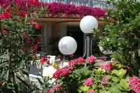 Hotel Adele Hotels in Bellaria