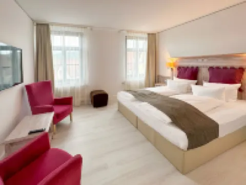 賴興施萬德多梅洛城堡酒店 中弗蘭肯行政區酒店