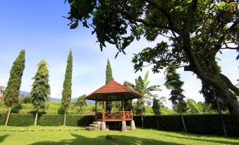 Villa ChavaMinerva Dima - Ciater