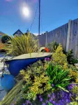 Viva Guest House Các khách sạn gần Clacton Pier