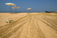 Abad Harmonia Ayurvedic Beach Resort - Beach