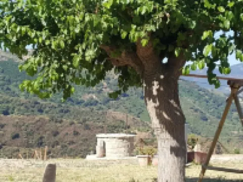 Mama Lina Hotels in Patti