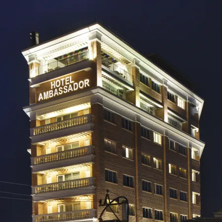 Hotel Ambassador by ACE Hotels
