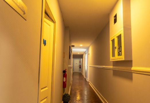 더 딜라이트 호스텔