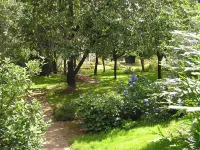 Cabane Dans les Arbres - Tree House - Pools