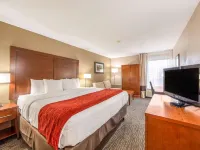 Comfort Inn Greenville - Haywood Mall Hotels near Gower Estates Park