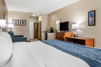 Comfort Inn Birmingham - Irondale