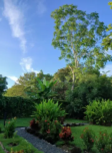 Morning Glory Hotels in 