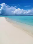 String Wave Maldives