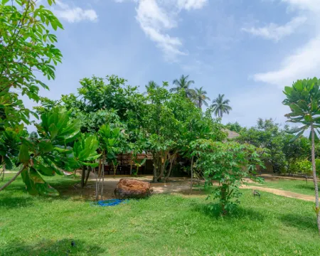 Blue Waters Hotels in Ampara