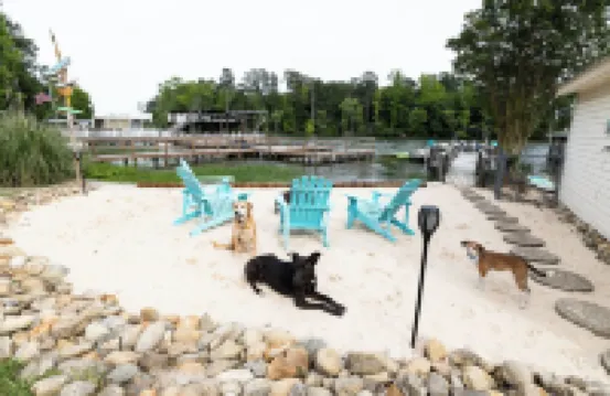 Driftwood Lake House- cozy , quiet cove!