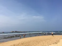 Curry Bowl Restaurant & Turtles Rest - Beach