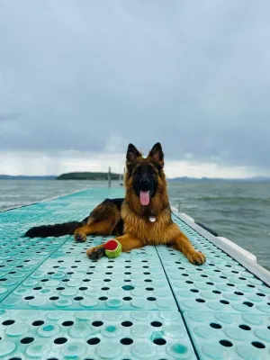 Camping Village Punta Navaccia Hoteles en 