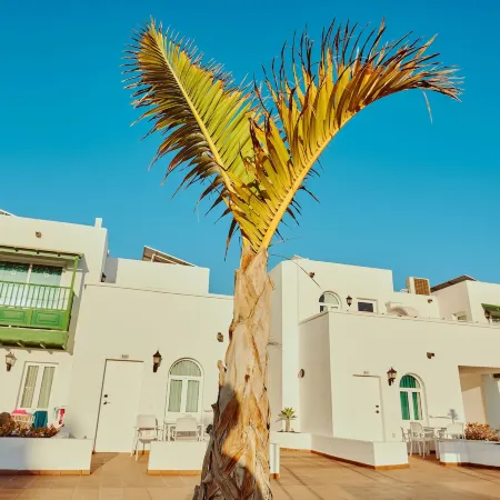 Gloria Izaro Club Hotel