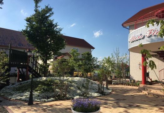 프티 호텔 블랑 플뢰르 외관 또는 객실 사진