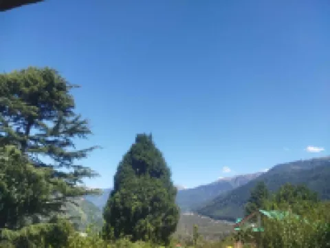 Heaven Inn Manali Hotels in Soil